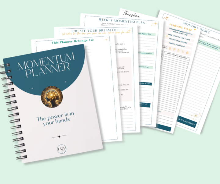 The Momentum Planner - For People Who Struggle to Finish What They Start