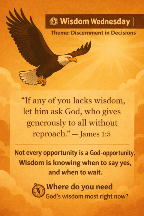 🧠 Wisdom Wednesday | Discernment for Skool Builders