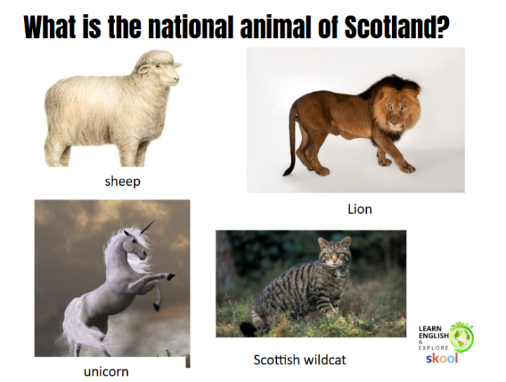 Friday Fun - What is Scotland's national animal?