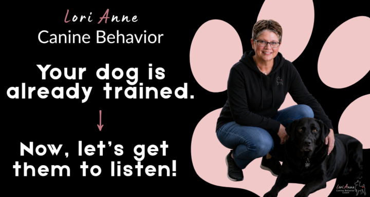 What if your dog isn't ignoring you... they're just too overwhelmed to listen?