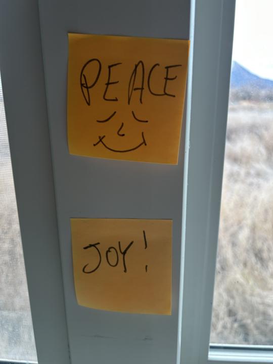 What if you completely STOPPED trying to LOSE weight?