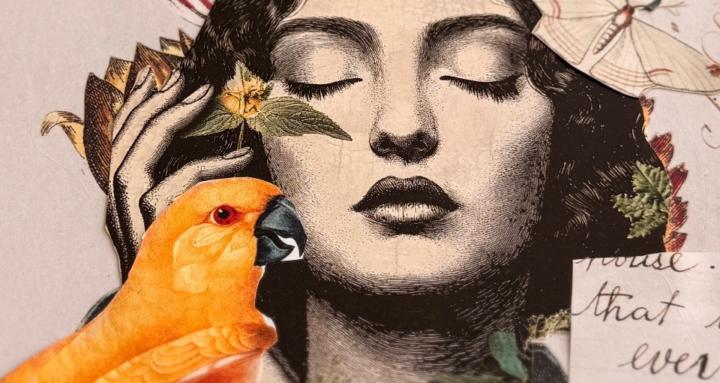 artful haven