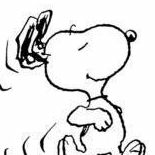 Nidhin Varkey Varghese