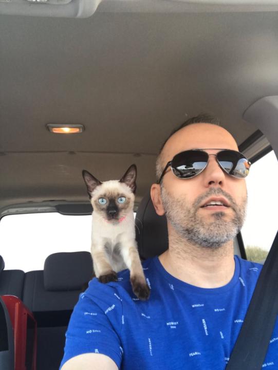 Mehmet Kaan