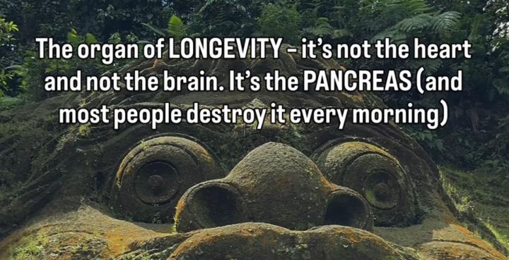 The Pancreas: The Unsung King of Longevity