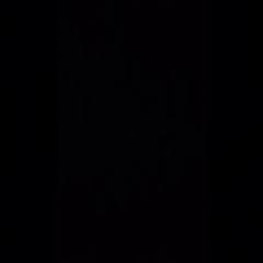 Supreme Shah Hormozi