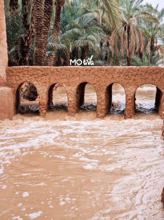 Mohamed Addaoud
