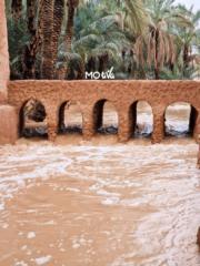 Mohamed Addaoud