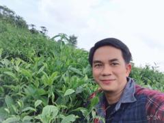 Trần Hoà