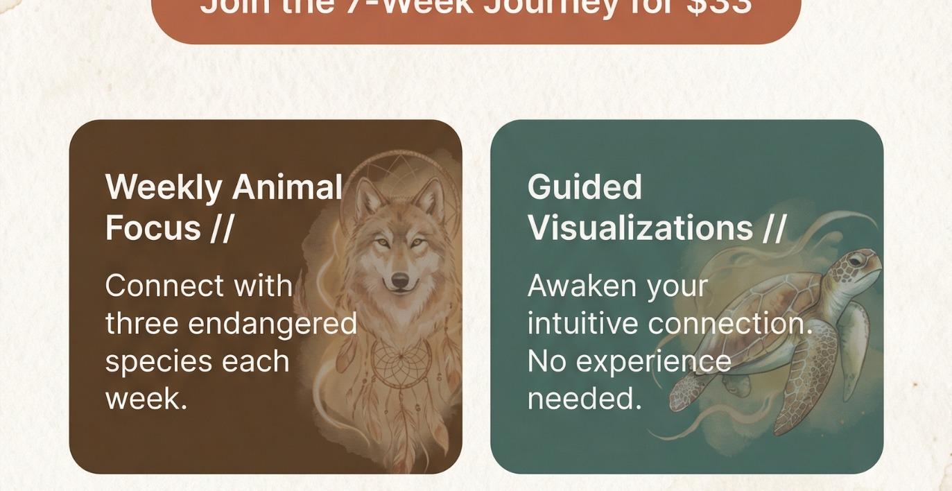 🐾Endangered Spirits🐾