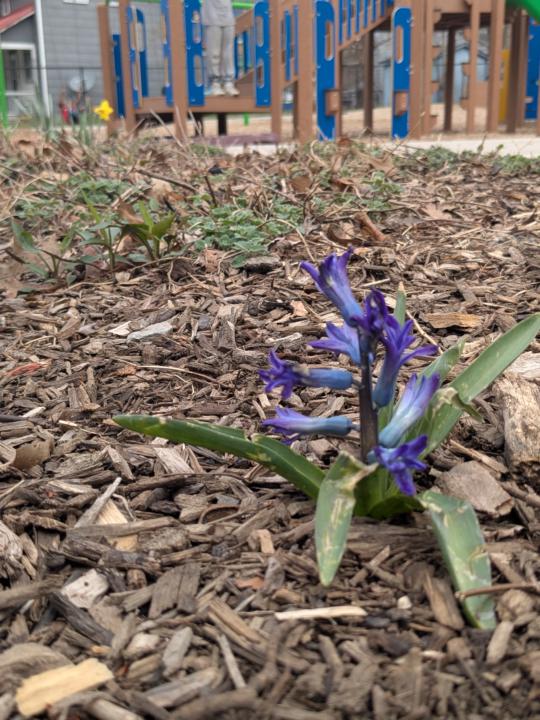 Spring!!