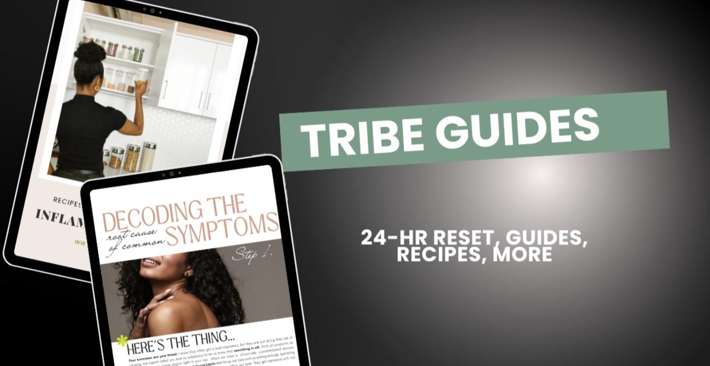 🚀 TRIBE GUIDES