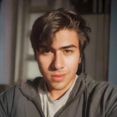 Ameer Arsala