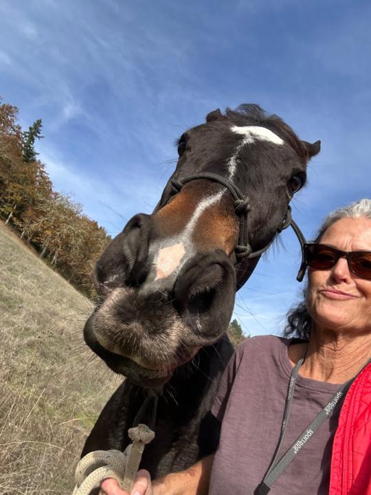 Carolyn Sachs-Okonek