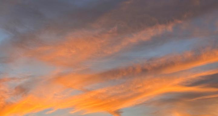 Honoring Horizons 🌬️🩰 