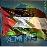 Amine Rachdi
