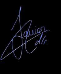 Francisco Javier De los rios