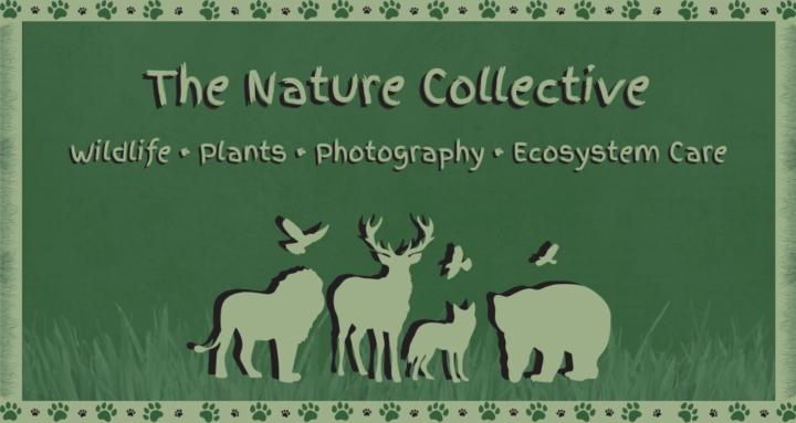 The Nature Collective