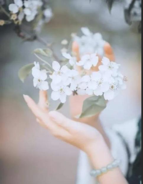 لولوة الزرقاء