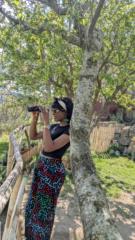 Dindze Olive