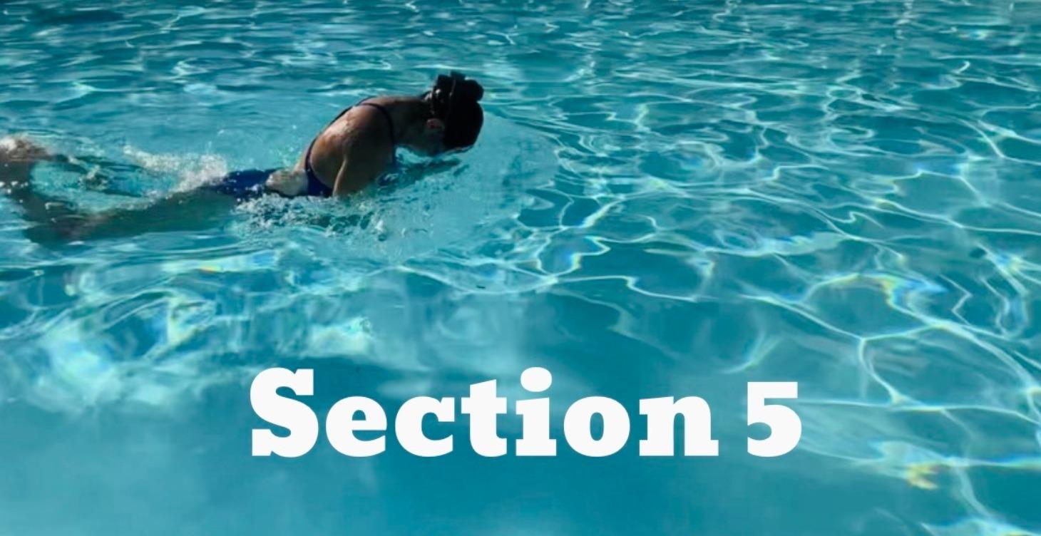 Section 5: The Breaststroke