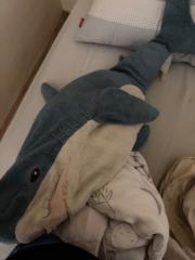 林 佳嫻