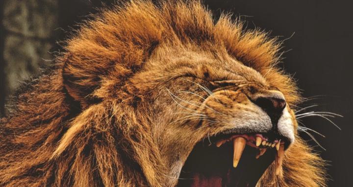 Healthy Hair Academy