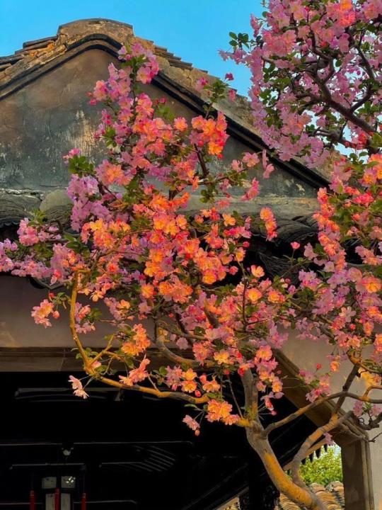 Gloria Elsy Quintana