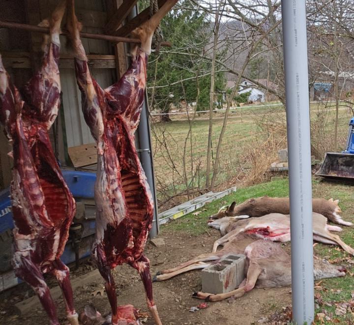 Jeremiah hull Jeremiah hull