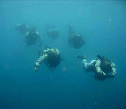 New Article on SEAL Training Success