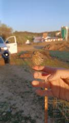 Emilio Reina centeno