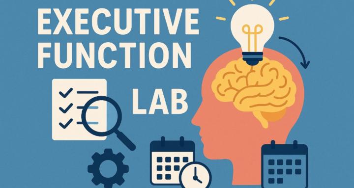 The Executive Function Lab