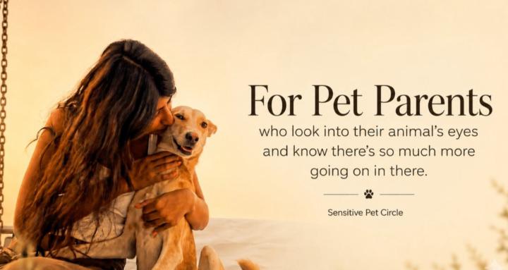 The Sensitive Pet Blueprint