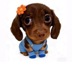 Agustina Belen Gallardo altamirano