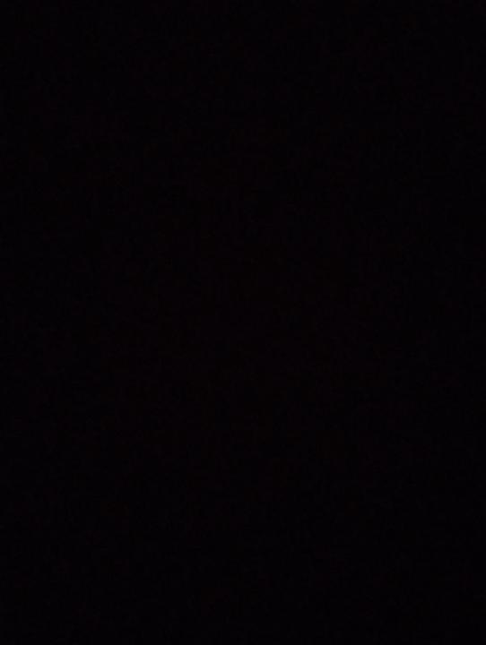 Øystein Vik Vandbakk