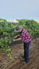 Juan Ramon Ramos Jimenez