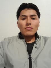 Alvaro Ledezma Gangas