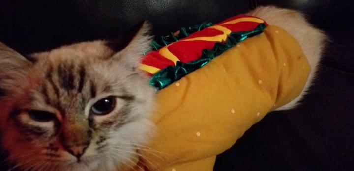 Cedric Gomez Bassoco