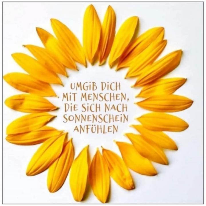 Steffi Schiller