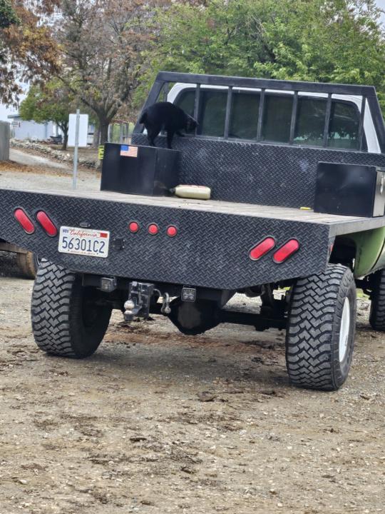 Hub bore throughout models and years