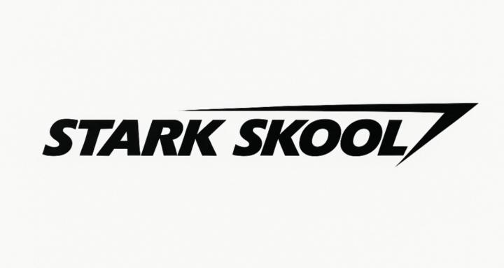 Stark Skool AI