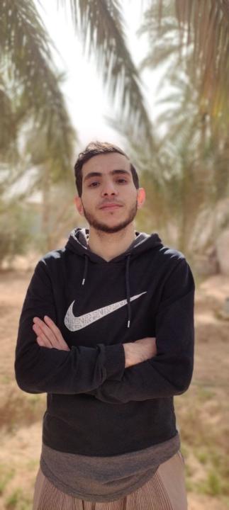 Salah Babaousmail