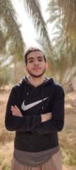 Salah Babaousmail