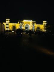 Husnain Munawar