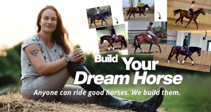 Build your own Sport Horse 🐴