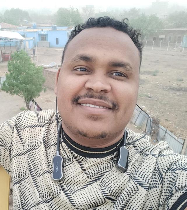 Ahmed Alemam Mohamed