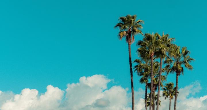 La Builders Network