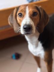 Małgorzata Woźniak