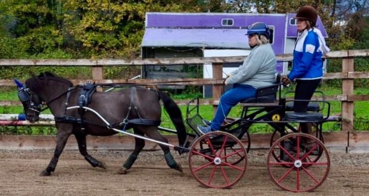 Carriage Driving Community