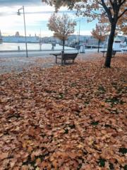 Omaima Mohammedelamain